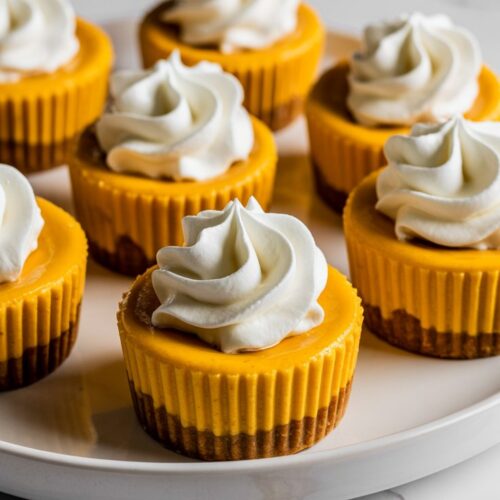 A white plate holding several mini pumpkin cheesecakes with gingersnap crusts, topped with dollops of whipped cream.