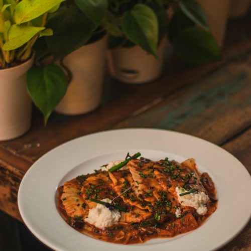 Beef enchiladas topped with red sauce, melted cheese and fresh herbs on a white plate